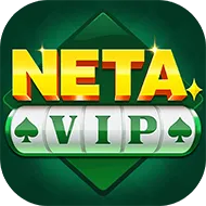NETA-VIP-APK